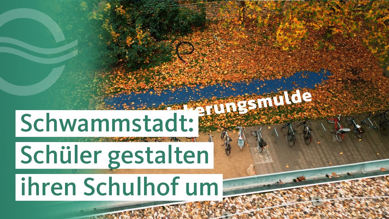 Vorschaubild zum Referenzfilm Projektfilme für HAMBURG WASSER